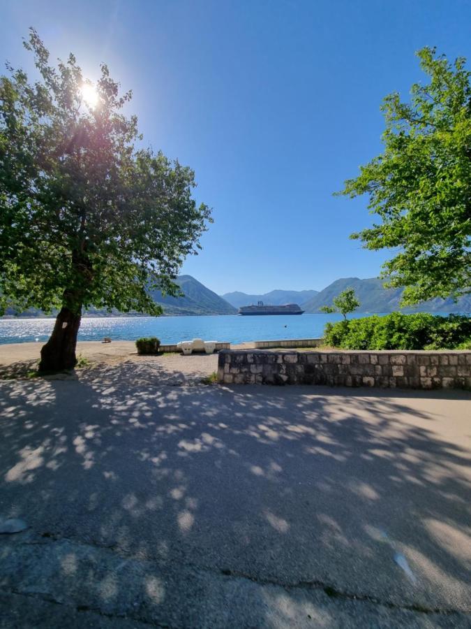 Studio On The Coast, With A View Of The Sunrise,Free We-Fi Kotor Luaran gambar