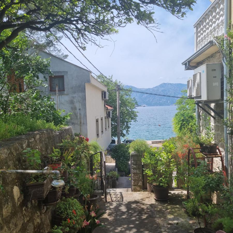 Studio On The Coast, With A View Of The Sunrise,Free We-Fi Kotor Luaran gambar