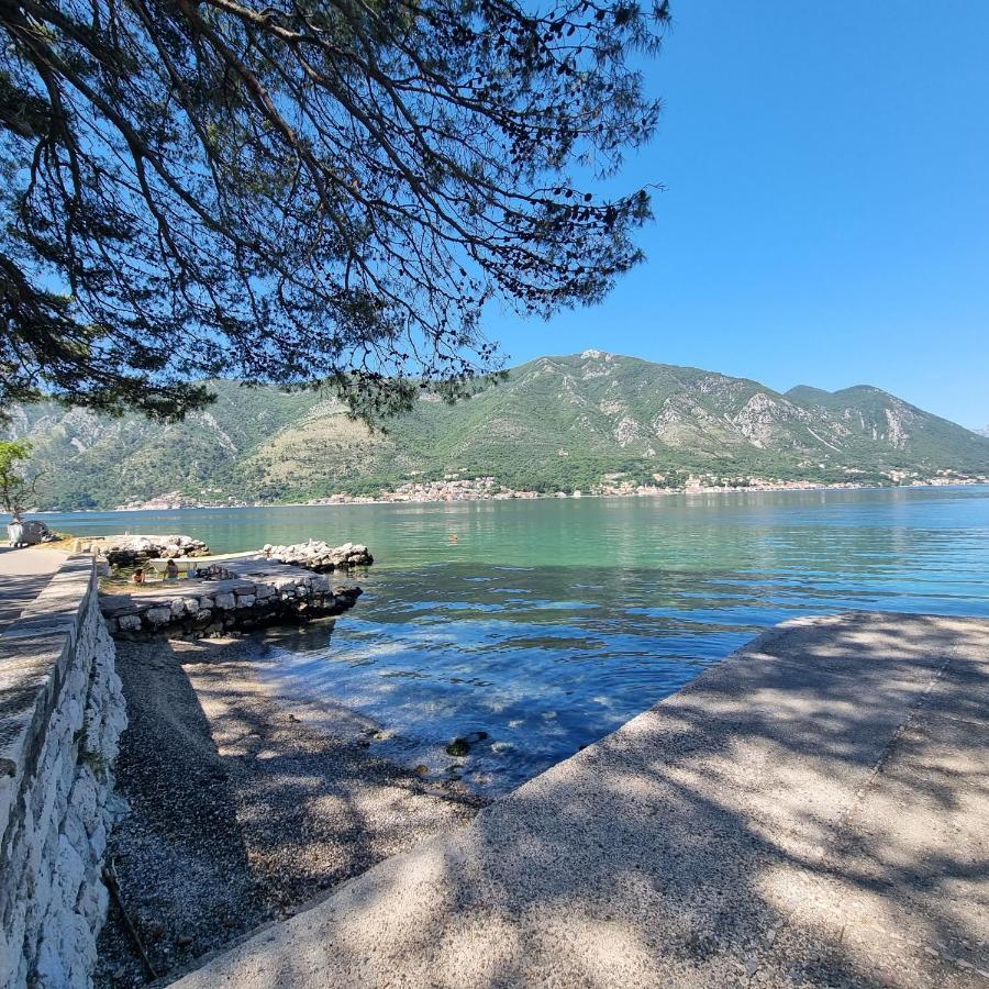 Studio On The Coast, With A View Of The Sunrise,Free We-Fi Kotor Luaran gambar